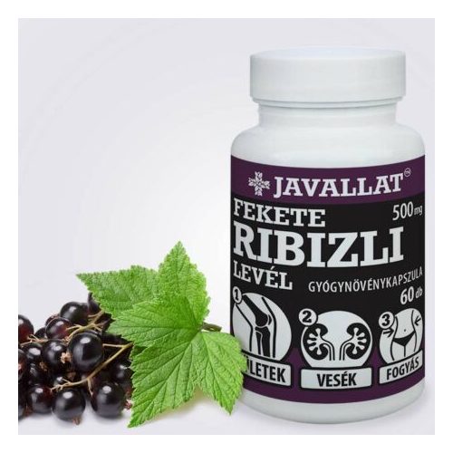 FEKETE RIBIZLI LEVÉL