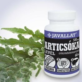 ARTICSÓKA - 60 db lágykapszula