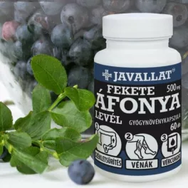 FEKETE ÁFONYA LEVÉL