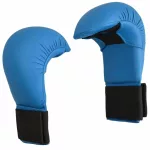 Seikenvédő / karate kesztyű - SBJ