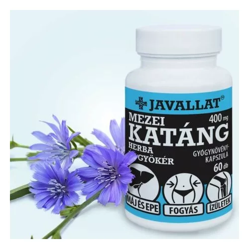 MEZEI KATÁNG HERBA ÉS GYÖKÉR