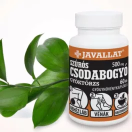 SZÚRÓS CSODABOGYÓ GYÖKTÖRZS