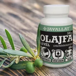 OLAJFA LEVÉL