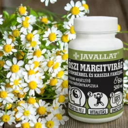 ŐSZI MARGITVIRÁG gyömbérrel és kasszia fahéjjal