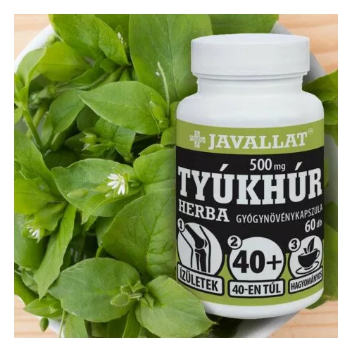 TYÚKHÚR HERBA