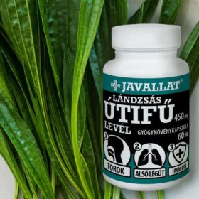 LÁNDZSÁS ÚTIFŰ LEVÉL