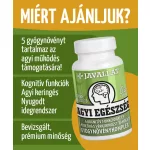 AGYI EGÉSZSÉG - JAVALLAT®