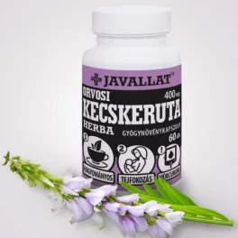 ORVOSI KECSKERUTA HERBA