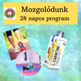 Mozgolódunk