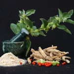ASHWAGANDHA KOMPLEX - Javallat