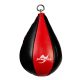Boxing Speed Ball 