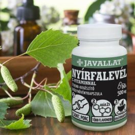 NYÍRFALEVÉL C-vitaminnal - 60 db kapszula