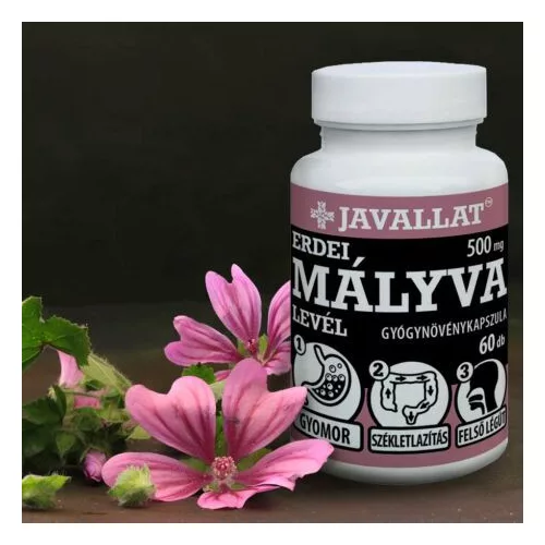 ERDEI MÁLYVA LEVÉL