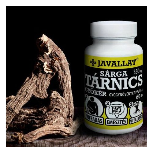 SÁRGA TÁRNICS GYÖKÉR