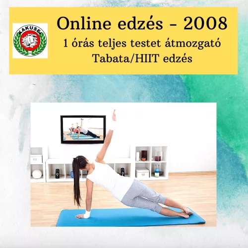 Online edzés - 2008