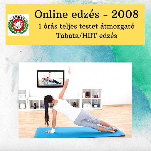 Online edzés - 2008