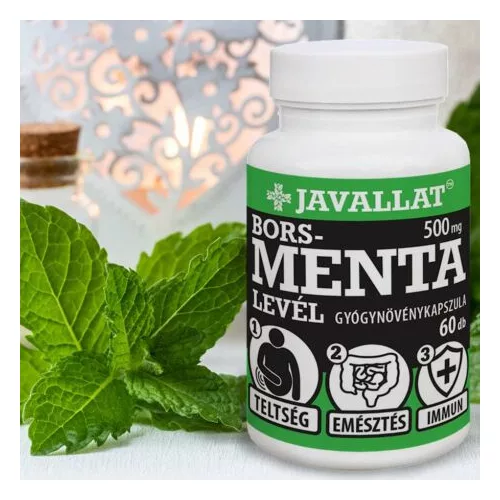 BORSOS MENTA LEVÉL