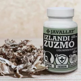 IZLANDI ZUZMÓ