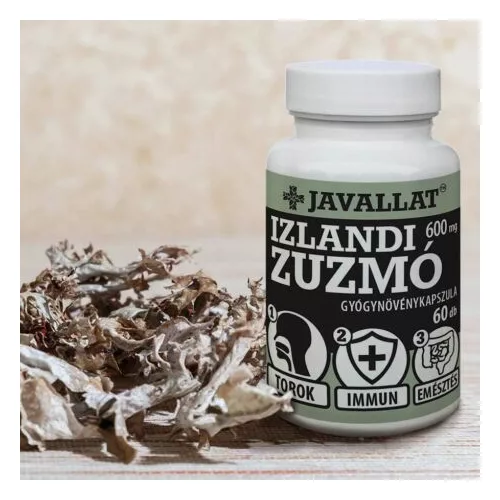 IZLANDI ZUZMÓ