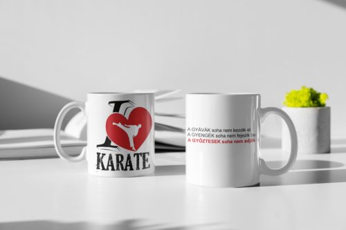 I <3 Karate Bögre