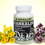 Kankalin & kerti kakukkfű