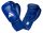 adidas WAKO Kickbox Edzőkesztyű ADIWAKOG2 (10 oz) 