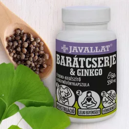 Barátcserje & ginkgo