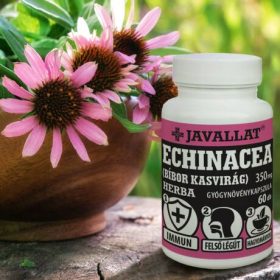 ECHINACEA (BÍBOR KASVIRÁG) HERBA