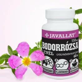 BODORRÓZSA LEVÉL