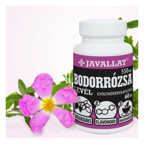 BODORRÓZSA LEVÉL