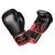 Boxkesztyű Training pro V2 - több színben