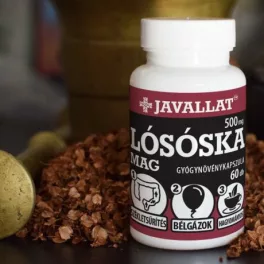 LÓSÓSKA MAG