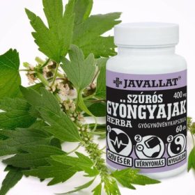 SZÚRÓS GYÖNGYAJAK HERBA