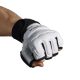 Ju-Sports Taekwondo/Kyokushin kesztyű