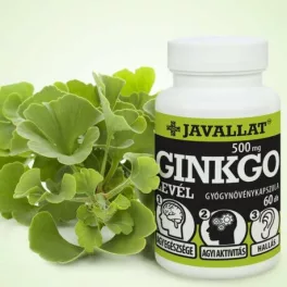 GINKGO LEVÉL