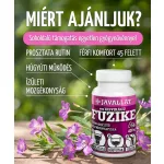 KISVIRÁGÚ FÜZIKE HERBA