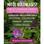 KISVIRÁGÚ FÜZIKE HERBA