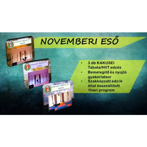 Novemberi eső