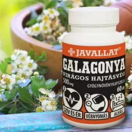 GALAGONYA VIRÁGOS HAJTÁSVÉG