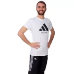 adidas Community Graphic Box póló, adiCLTS24-B - két színben