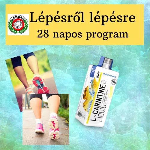 Lépésről lépésre program